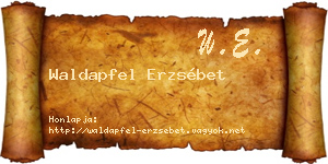Waldapfel Erzsébet névjegykártya
